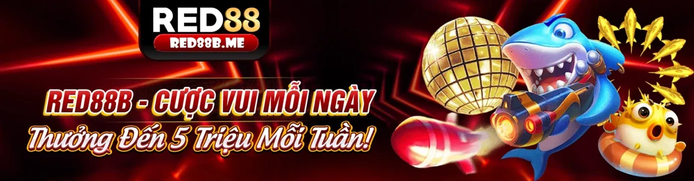 Hình ảnh đại diện chính sách quyền riêng tư của you88 game bài